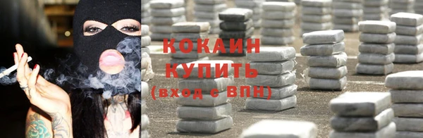 PSILOCYBIN Богородицк