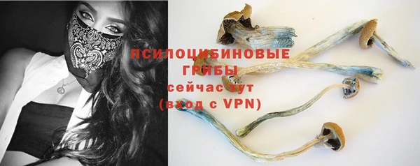 PSILOCYBIN Богородицк
