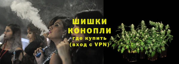 PSILOCYBIN Богородицк