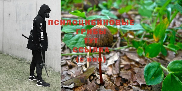 прущая мука Богданович