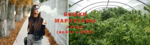 PSILOCYBIN Богородицк