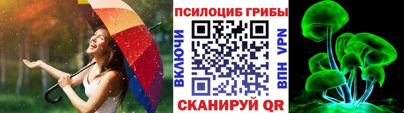 blacksprut как зайти  Нерехта  Галлюциногенные грибы Magic Shrooms 